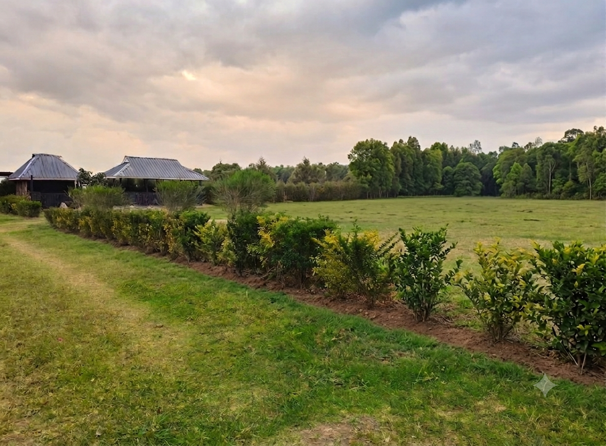 Outdoor event grounds
